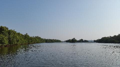 Goa Backwater - Download Goa Photos