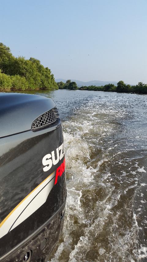 Goa Backwater - Download Goa Photos