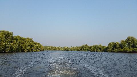 Goa Backwater - Download Goa Photos
