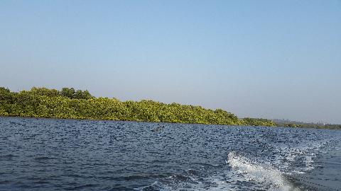 Goa Backwater - Download Goa Photos