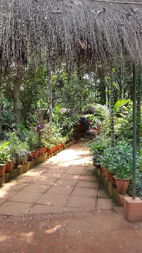 Sahakari Spice Farm - Download Goa Photos