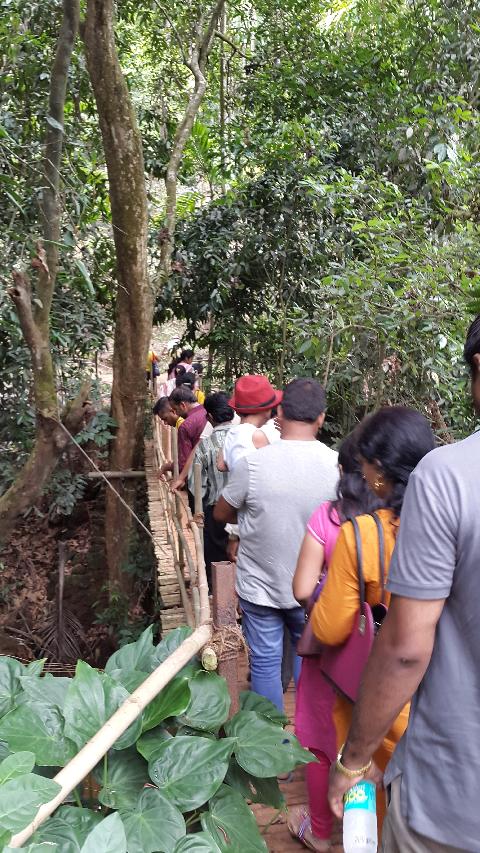 Sahakari Spice Farm - Download Goa Photos