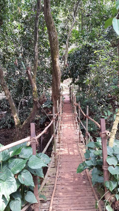 Sahakari Spice Farm - Download Goa Photos