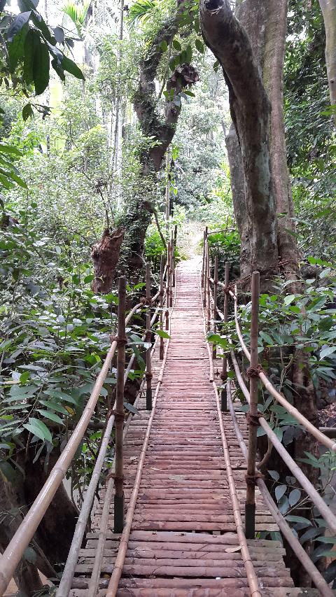 Sahakari Spice Farm - Download Goa Photos