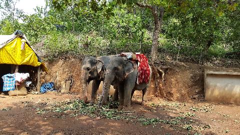 Sahakari Spice Farm - Download Goa Photos