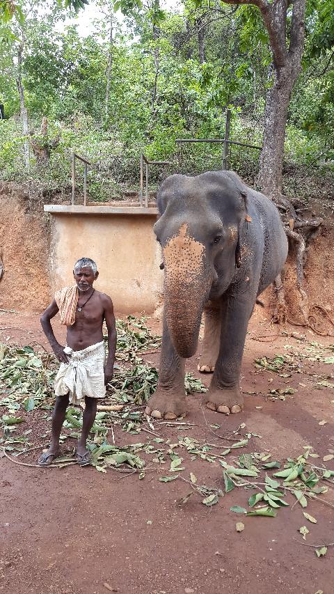 Sahakari Spice Farm - Download Goa Photos