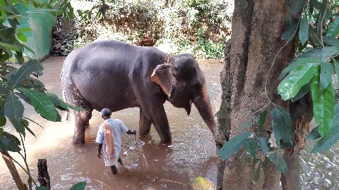 Sahakari Spice Farm - Download Goa Photos