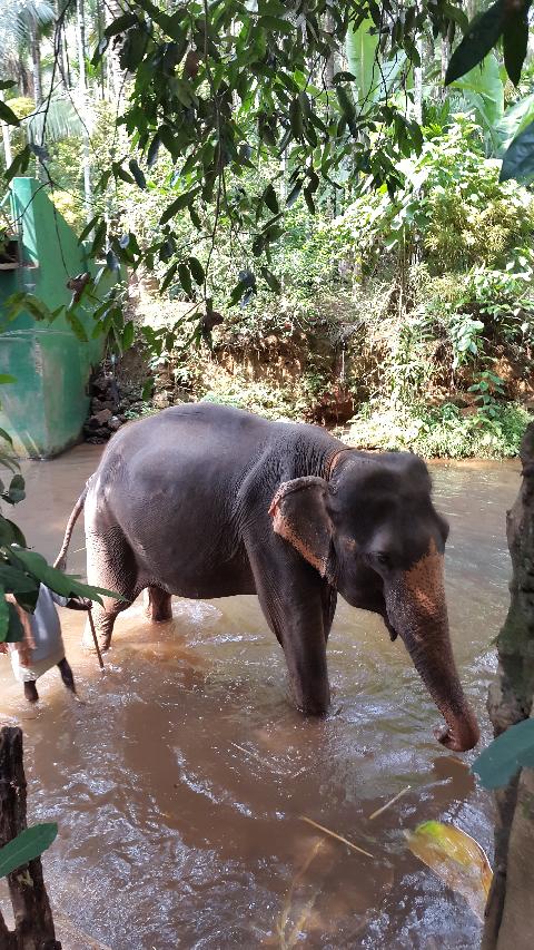 Sahakari Spice Farm - Download Goa Photos