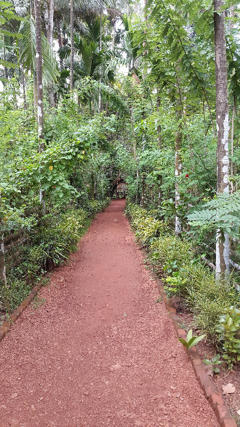Sahakari Spice Farm - Download Goa Photos