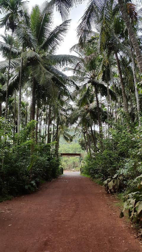 Sahakari Spice Farm - Download Goa Photos