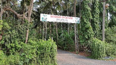 Sahakari Spice Farm - Download Goa Photos