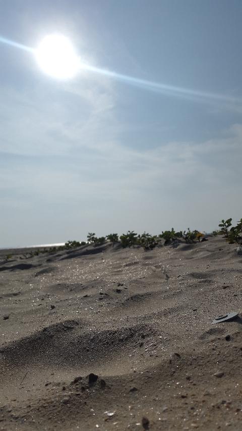 Zalor Beach - Download Goa Photos