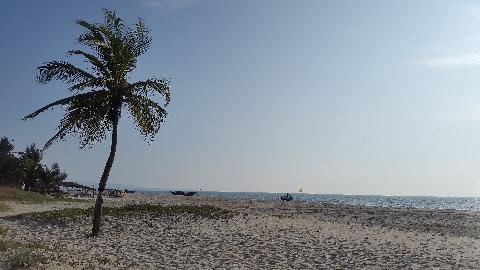 Zalor Beach - Download Goa Photos