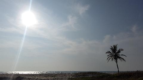 Zalor Beach - Download Goa Photos