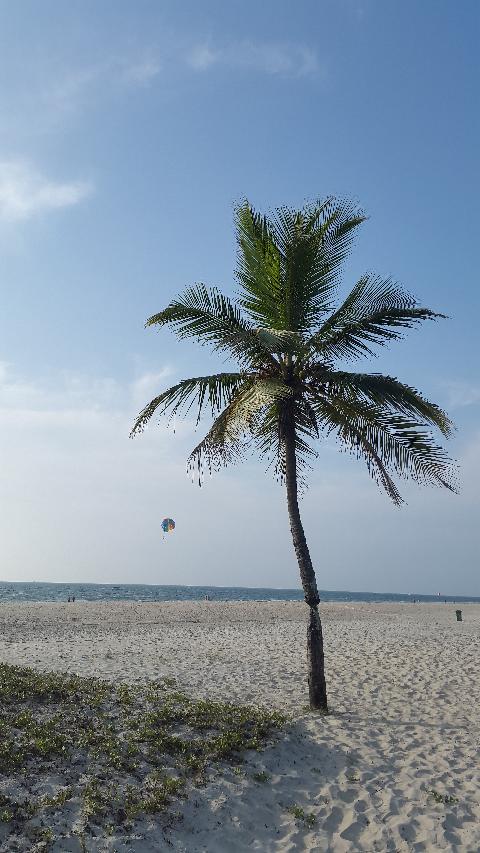 Zalor Beach - Download Goa Photos