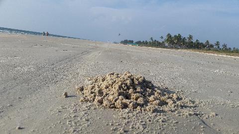 Zalor Beach - Download Goa Photos