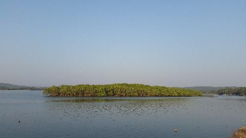 Siolim Bridge Goa - Download Goa Photos