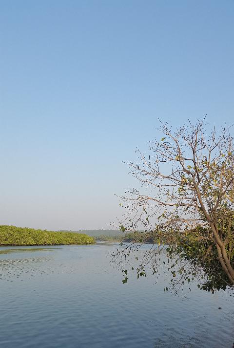 Siolim Bridge Goa - Download Goa Photos
