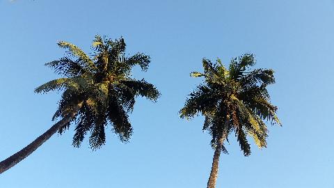 Goa in Pictures - Download Goa Photos