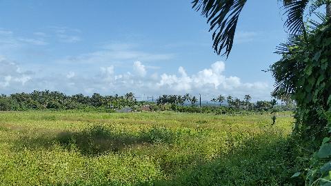 Goa Hill and Landscape - Download Goa Photos