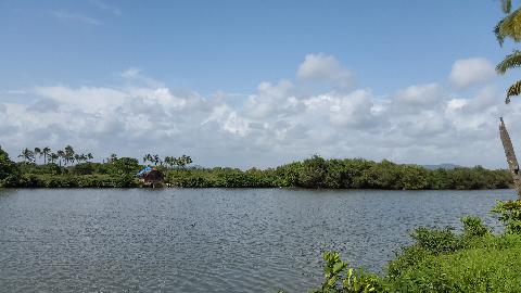 Goa Backwater - Download Goa Photos
