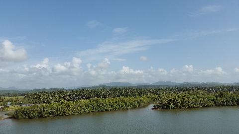 Goa Backwater - Download Goa Photos