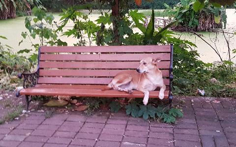 Goa in Pictures - Download Goa Photos