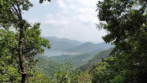 Swapnagandha Nature Resort - Download Goa Photos