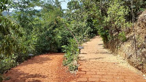 Swapnagandha Nature Resort - Download Goa Photos