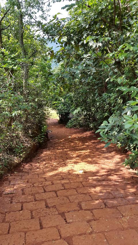 Swapnagandha Nature Resort - Download Goa Photos
