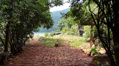 Swapnagandha Nature Resort - Download Goa Photos