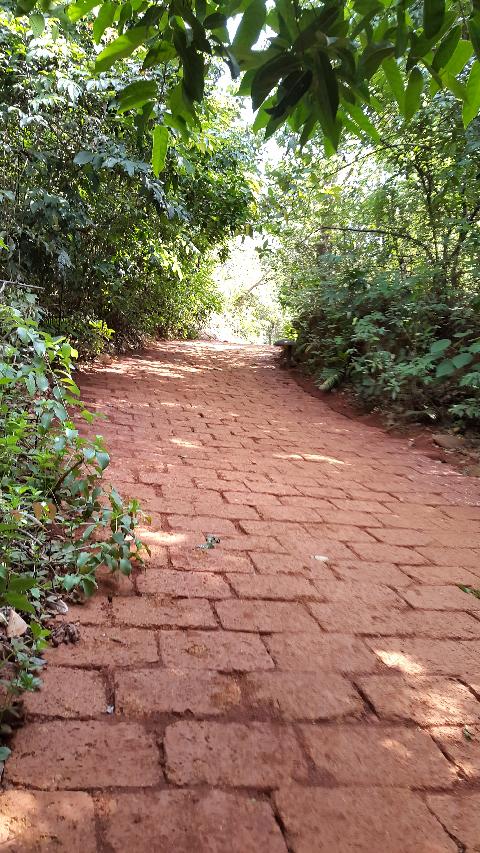 Swapnagandha Nature Resort - Download Goa Photos