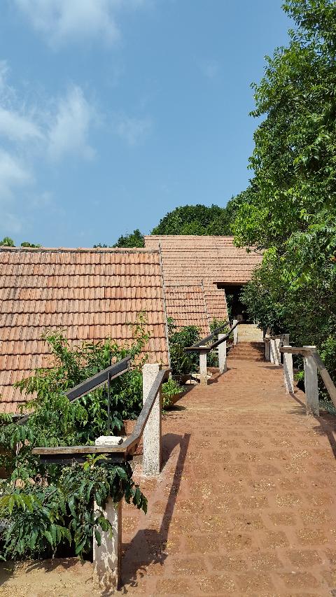 Swapnagandha Nature Resort - Download Goa Photos