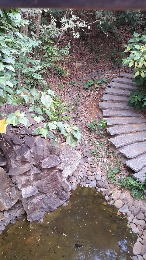 Swapnagandha Nature Resort - Download Goa Photos