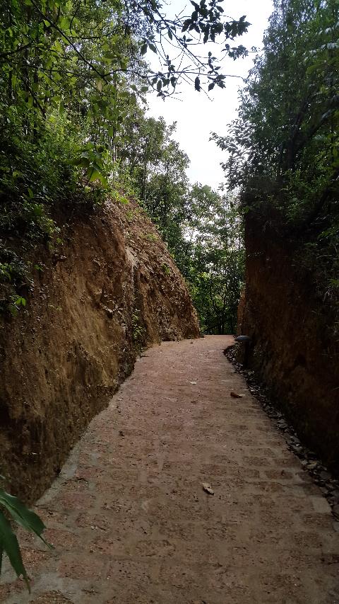 Swapnagandha Nature Resort - Download Goa Photos