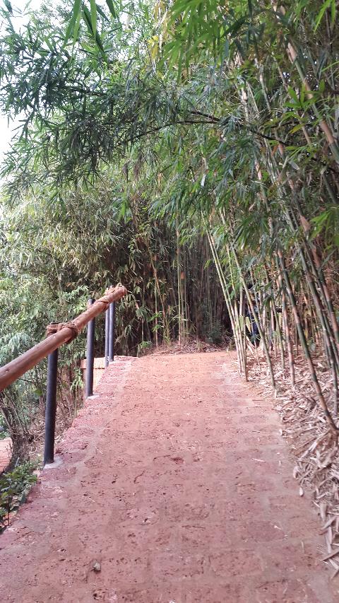 Swapnagandha Nature Resort - Download Goa Photos