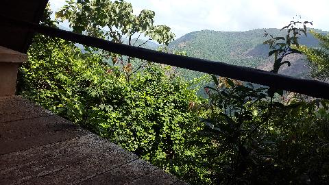 Swapnagandha Nature Resort - Download Goa Photos