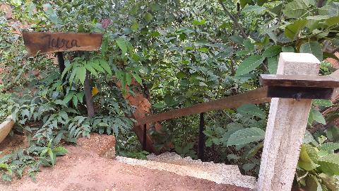 Swapnagandha Nature Resort - Download Goa Photos