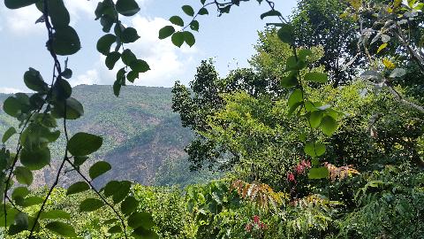 Swapnagandha Nature Resort - Download Goa Photos