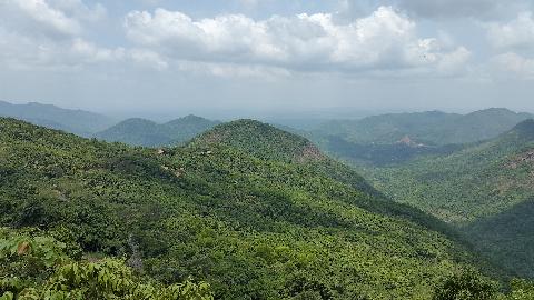Wildernest Nature Resort - Download Goa Photos