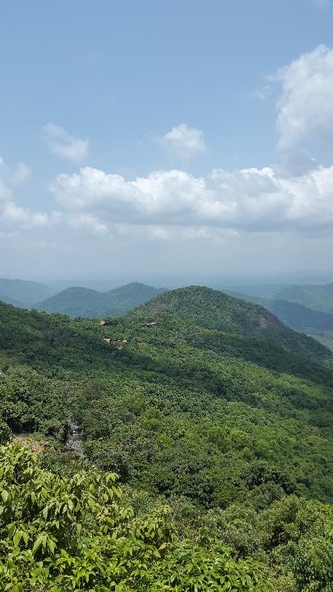 Wildernest Nature Resort - Download Goa Photos