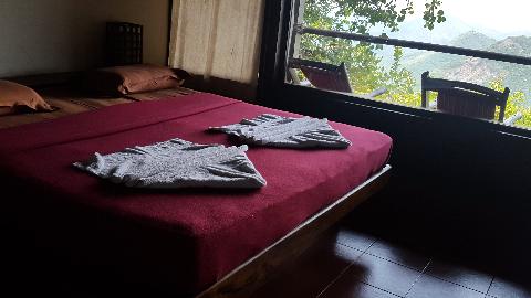 Wildernest Nature Resort - Download Goa Photos