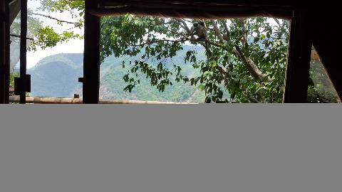 Wildernest Nature Resort - Download Goa Photos