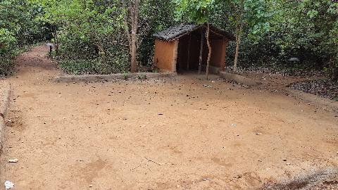 Wildernest Nature Resort - Download Goa Photos