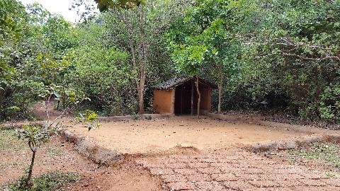 Wildernest Nature Resort - Download Goa Photos