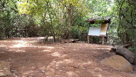 Wildernest Nature Resort - Download Goa Photos