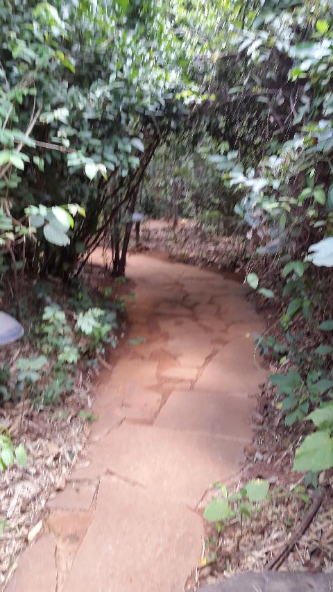 Wildernest Nature Resort - Download Goa Photos