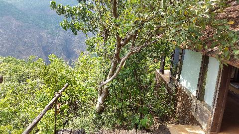 Swapnagandha Nature Resort - Download Goa Photos