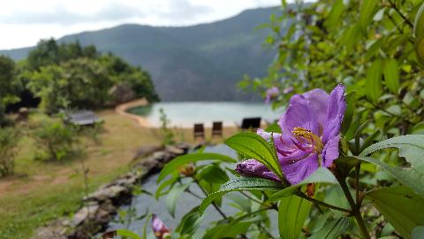 Swapnagandha Nature Resort - Download Goa Photos