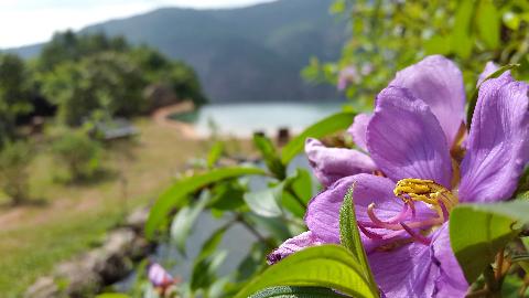 Swapnagandha Nature Resort - Download Goa Photos